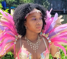 Load image into Gallery viewer, Diyana Small Feather Collar (Upgrade) $65.00