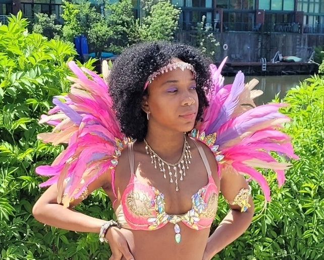 Diyana Small Feather Collar (Upgrade) $65.00